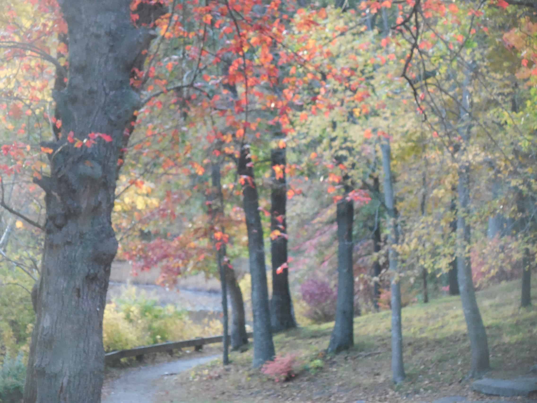 Resource Management Plan – Public Meeting Nov 10