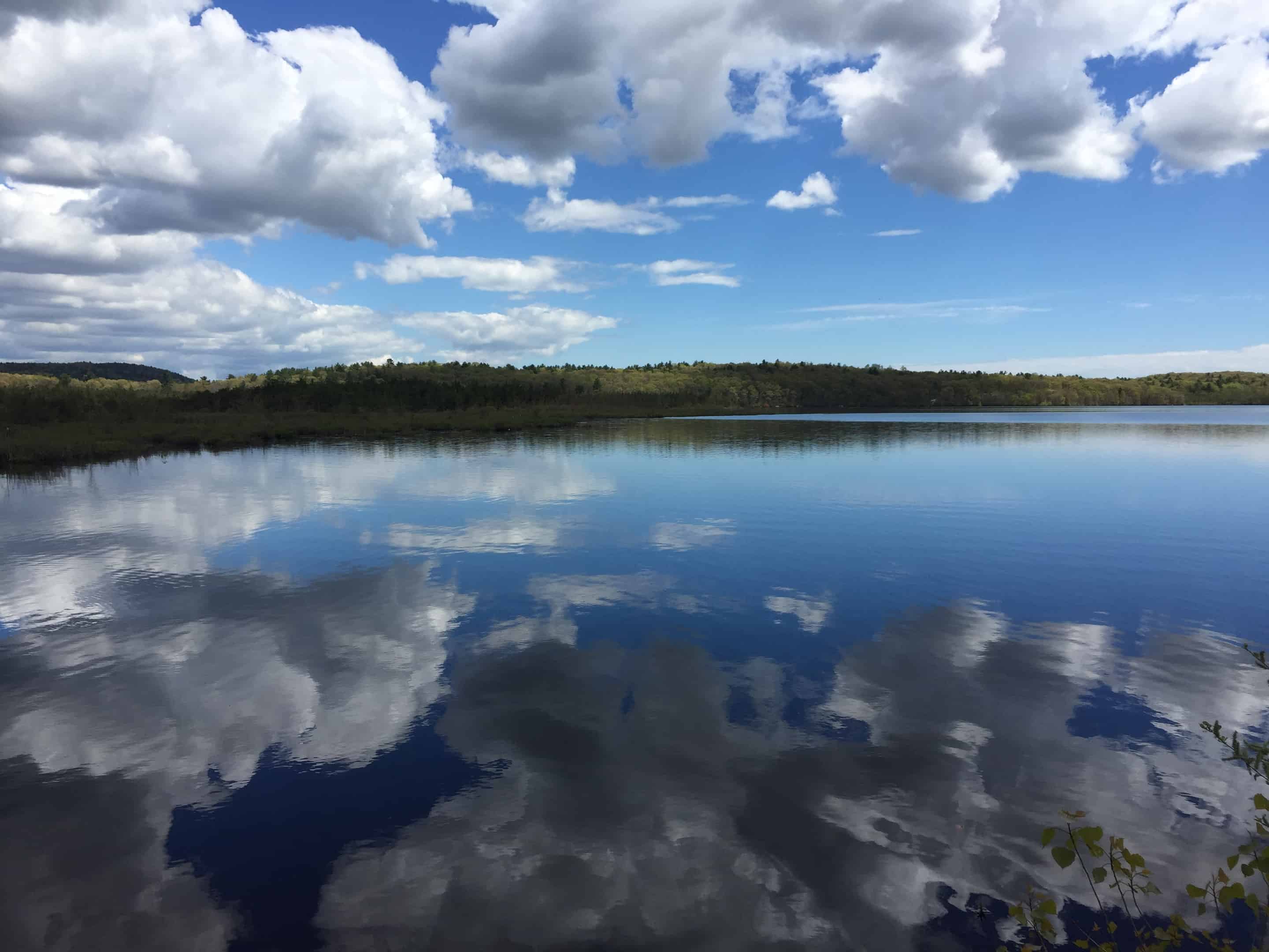 Submit a ‘Photo of the Day’ on Instagram