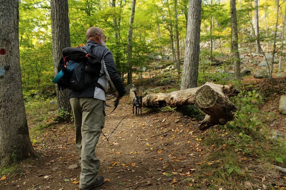 Skills in the Hills: Basic Map & Compass Navigation Outing
