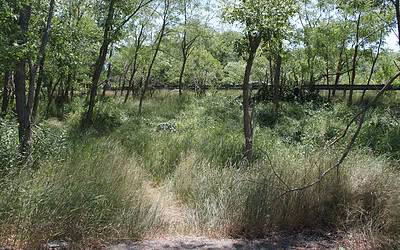 How Can You Reduce Your Risk of Contracting Lyme Disease?