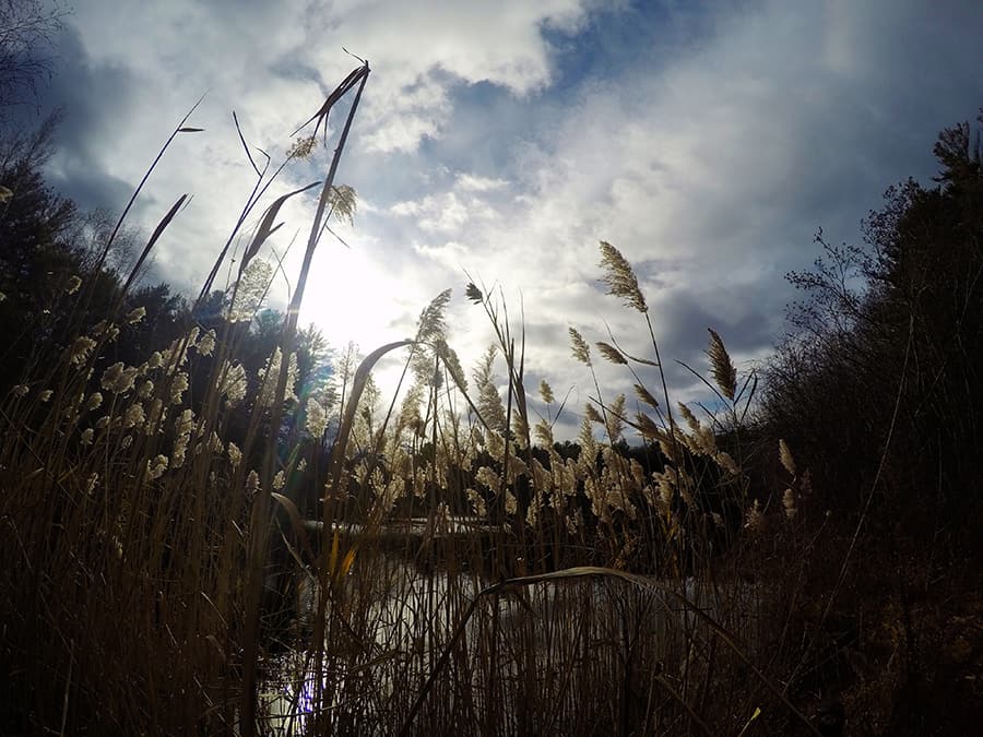 Blue Hills Photo Contest 2021