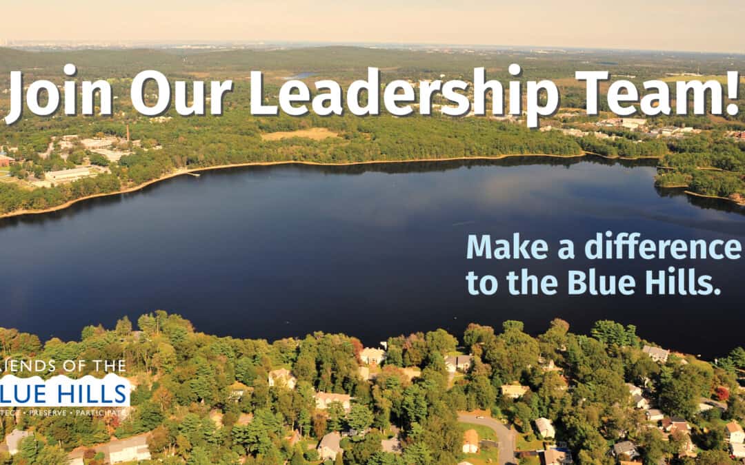 Learn about Joining our Leadership Team!
