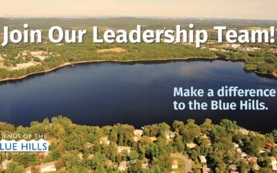 Learn about Joining our Leadership Team!