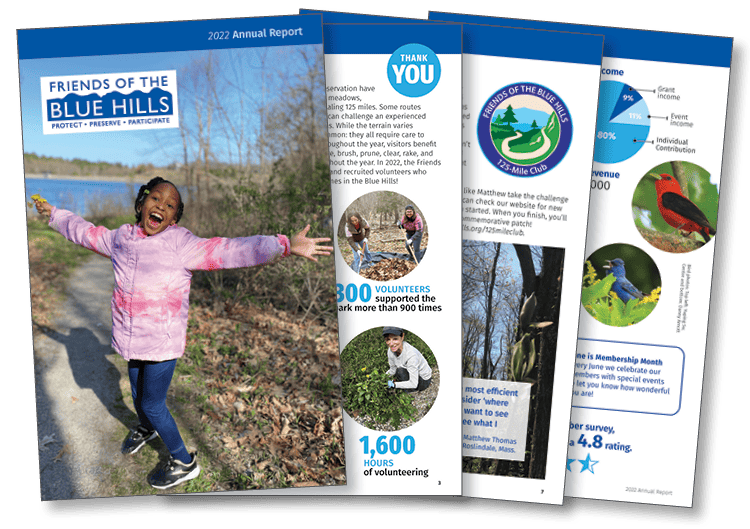 See Your Impact: Annual Report 2022