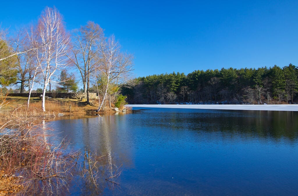 Great News for Our Parks