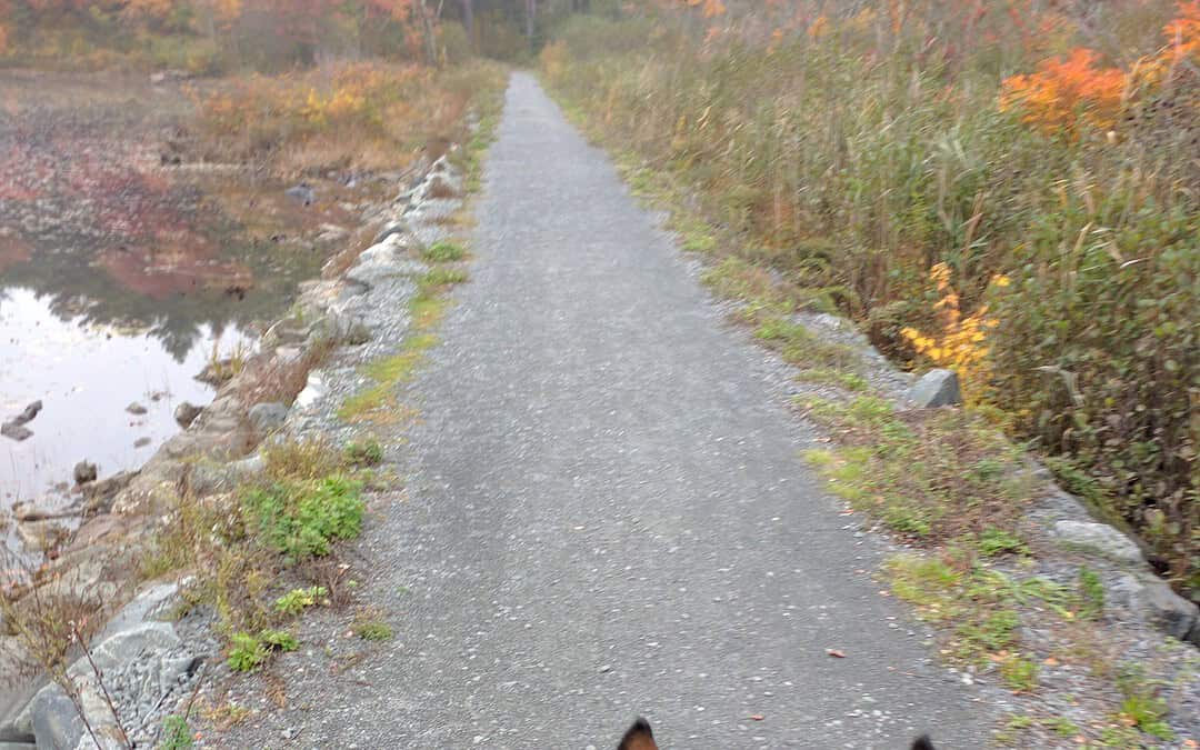 Q&A: Horseback Riding in the Blue Hills Reservation