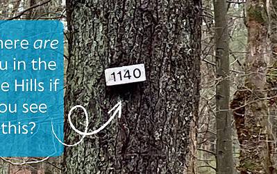 Understanding the Blue Hills Trail Number System