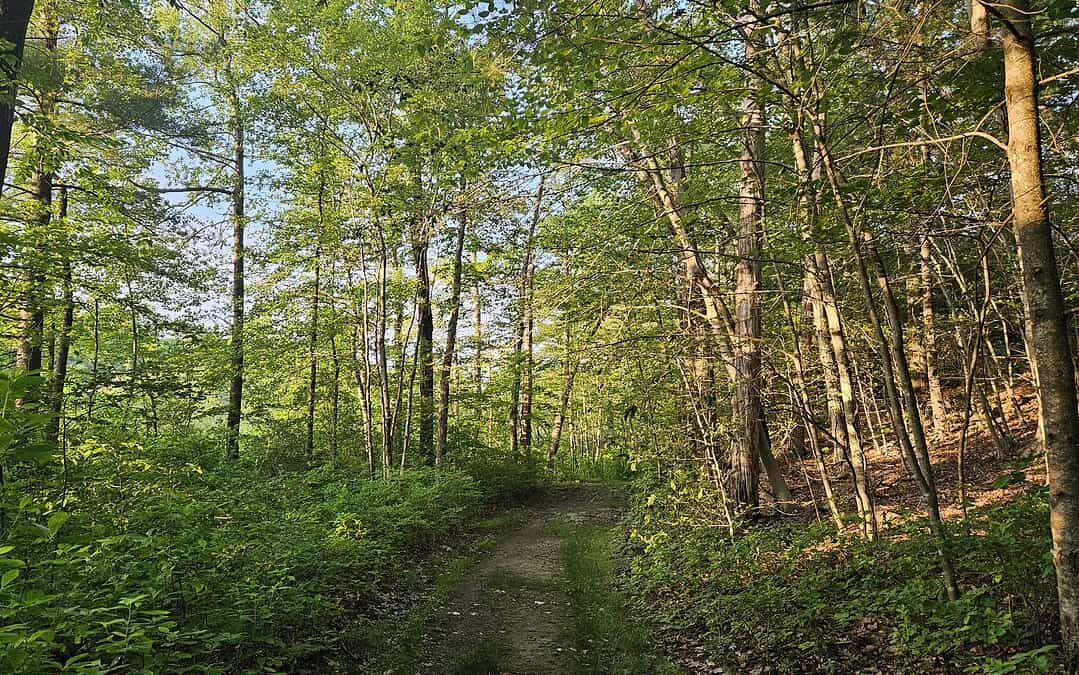 How I Turned My Commute Into a Trail Walk
