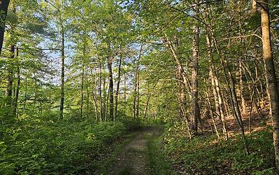 How I Turned My Commute Into a Trail Walk